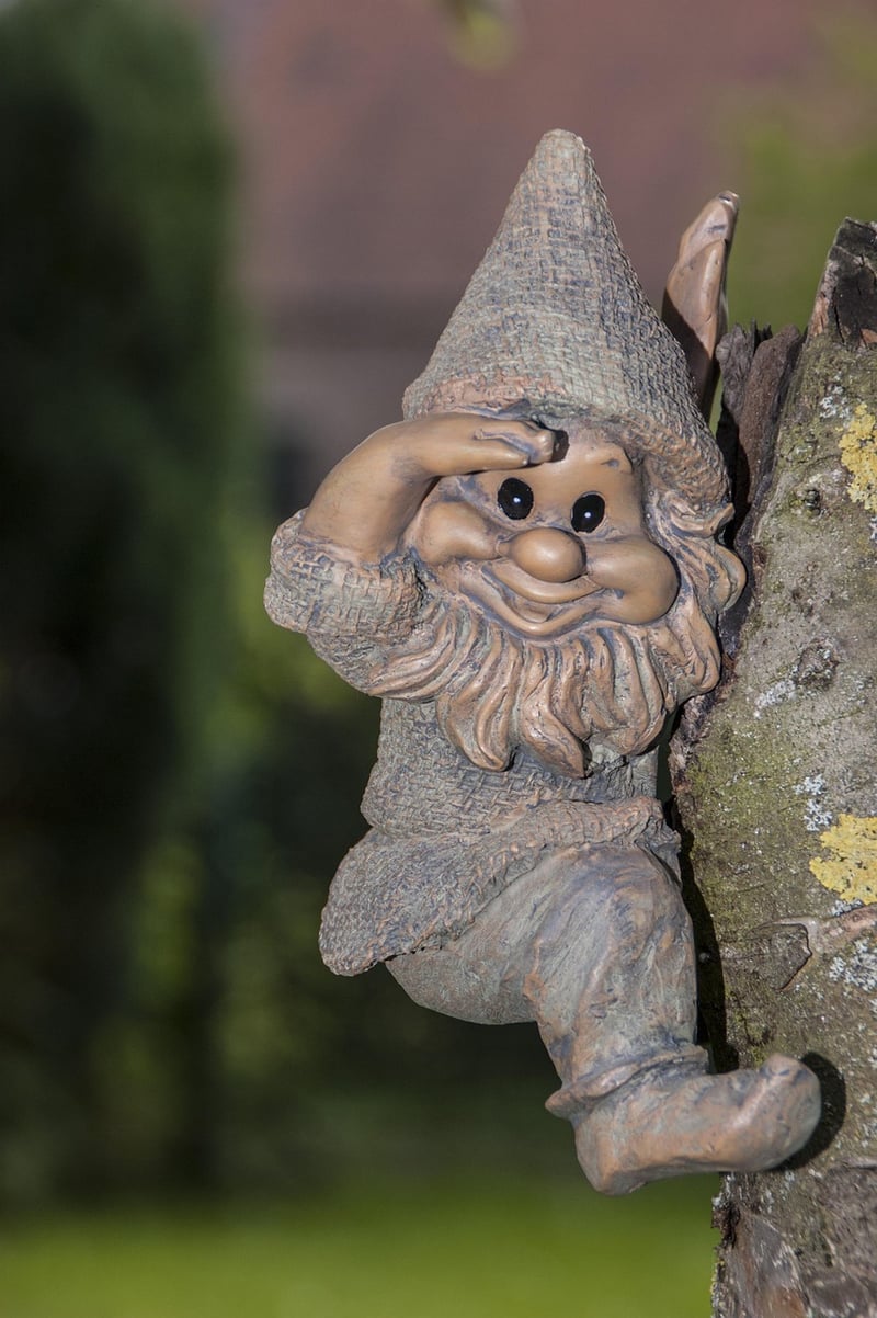 Gnome Encounters